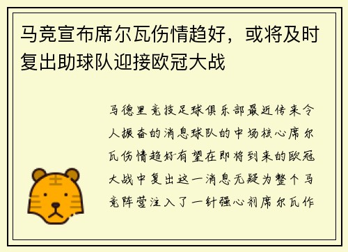 马竞宣布席尔瓦伤情趋好，或将及时复出助球队迎接欧冠大战